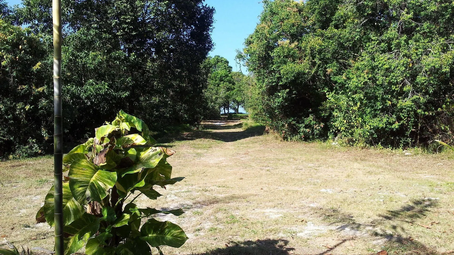 兰卡威热带度假村 浮罗交怡 度假村